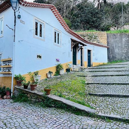 Willa Pe Do Castelo Casinha - Pet Friendly & Garage Tomar Zewnętrze zdjęcie
