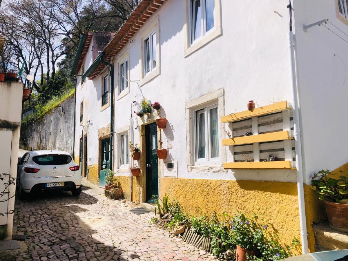 Willa Pe Do Castelo Casinha - Pet Friendly & Garage Tomar Zewnętrze zdjęcie