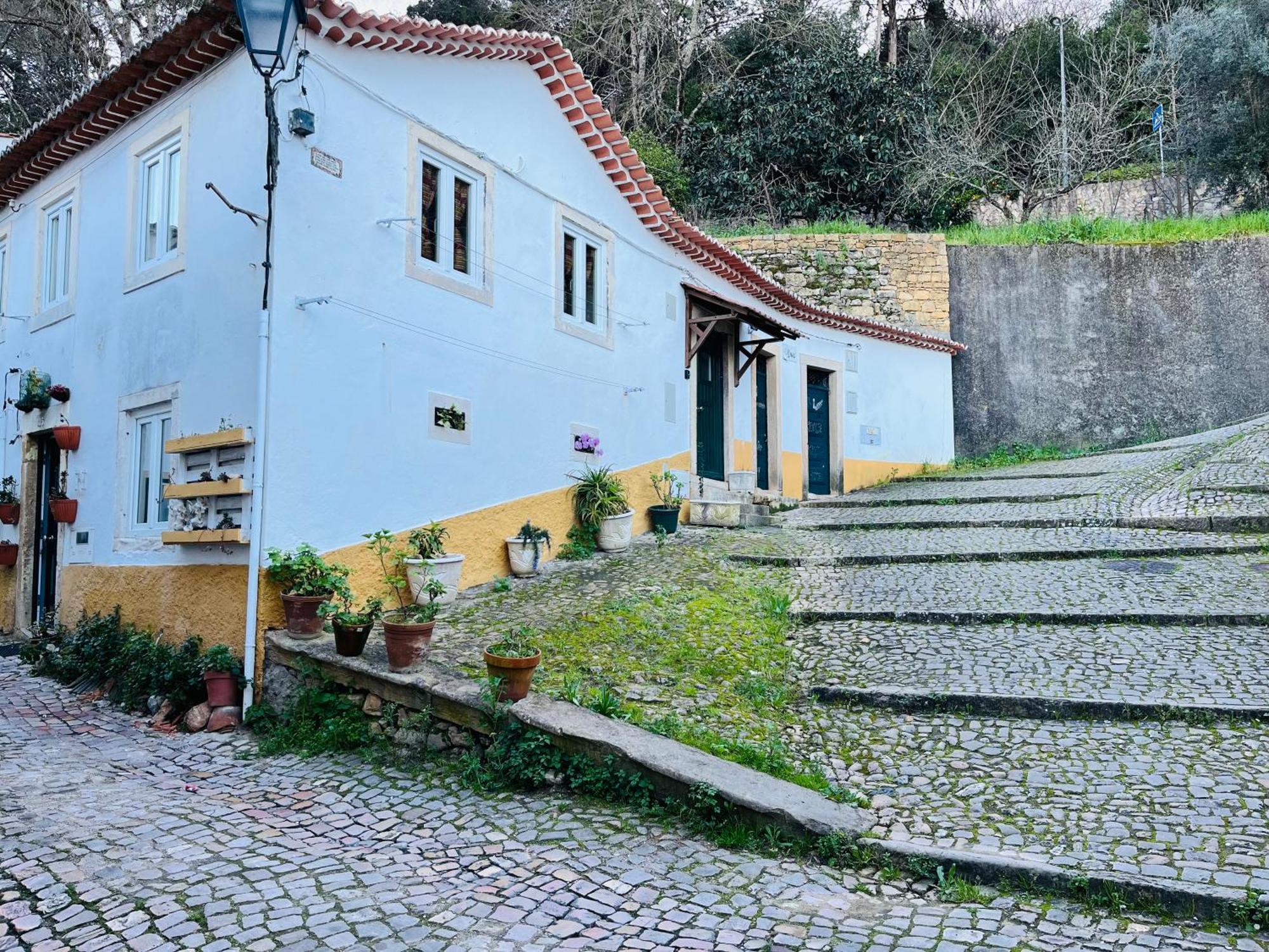 Willa Pe Do Castelo Casinha - Pet Friendly & Garage Tomar Zewnętrze zdjęcie